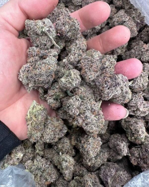 Buy Snow cap Weed Lemon Cherry Gelato Snowballs Weed