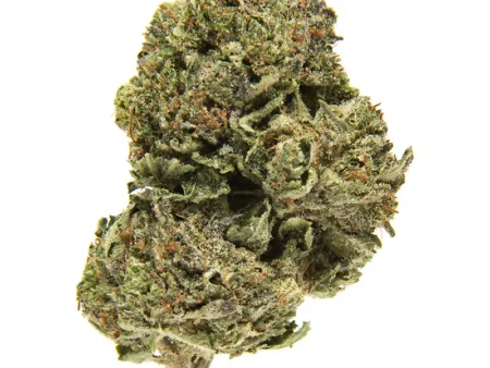 Platinum Bubba – Top Exotic Weed